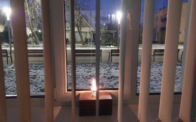 Laisvės gynėjų diena paminėta ir Gimnazijos bibliotekoje