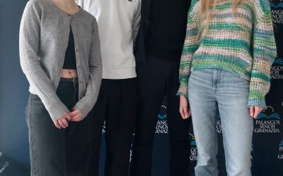 Ekonomikos ir verslumo olimpiados mieste nugalėtojas – abiturientas Karolis Račkauskas